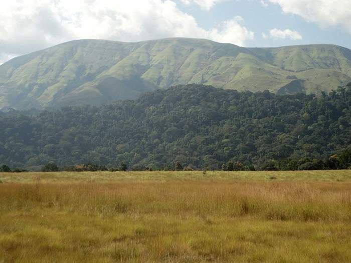 Mount Nimba, a World Heritage Site where mining threatens rare chimpanzees and toads. ©Global Witness